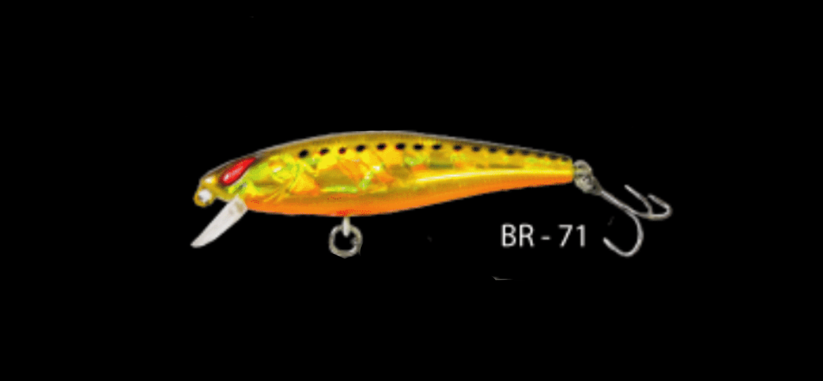 Ecogear MW62F Jerk bait –