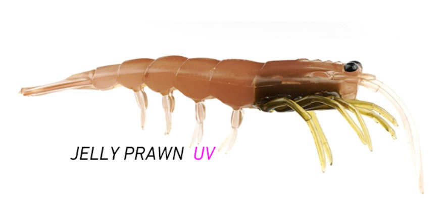 Pro Lure Clone Prawn 62mm - Jelly Prawn – Trophy Trout Lures and