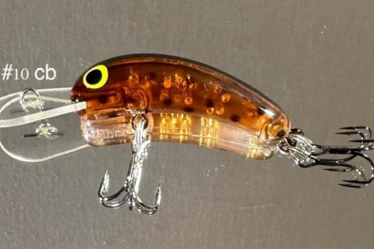 A/C Lures Aurora Series Slim Invader 50mm - #10CB