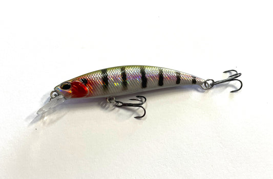 S70 Sinking Minnow - Bleeding Perch