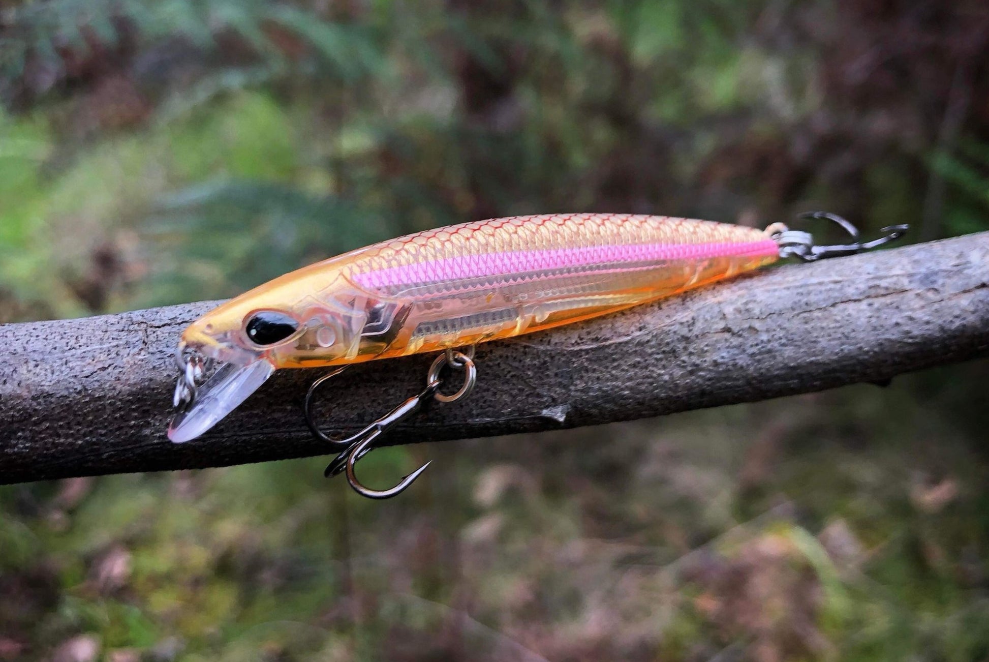 Liquid Gold 65mm Minnow - Penders Pretty Fish – Trophy Trout Lures and Fly  Fishing
